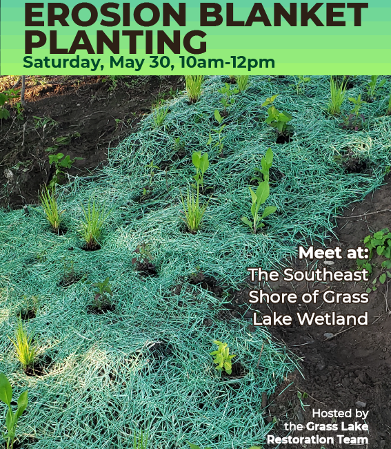 Erosion Blanket Planting Saturday, May 30, 10am-12pm Meet at the southeast shore of Grass Lake Wetland Hosted by the Grass Lake Restoration Team