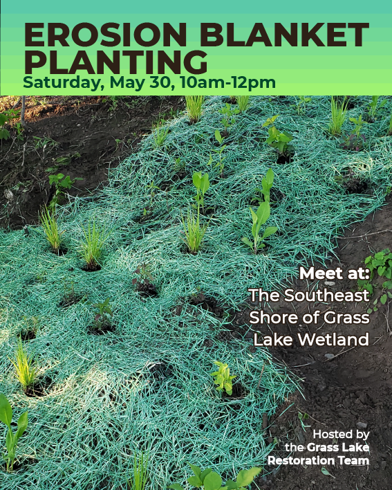 Erosion Blanket Planting Saturday, May 30, 10am-12pm Meet at the southeast shore of Grass Lake Wetland Hosted by the Grass Lake Restoration Team