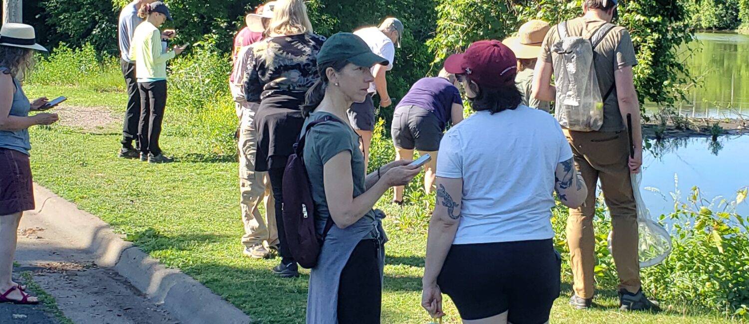 People chatting on the shore of Grass Lake for a Bio Blitz