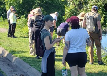 People chatting on the shore of Grass Lake for a Bio Blitz