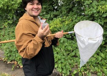 person with insect net by Grass Lake Wetland