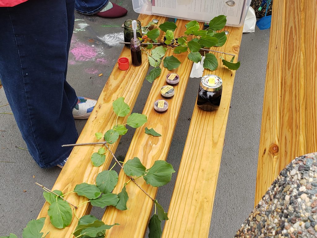 Buckthorn branches and ink in containers on a wooden bench