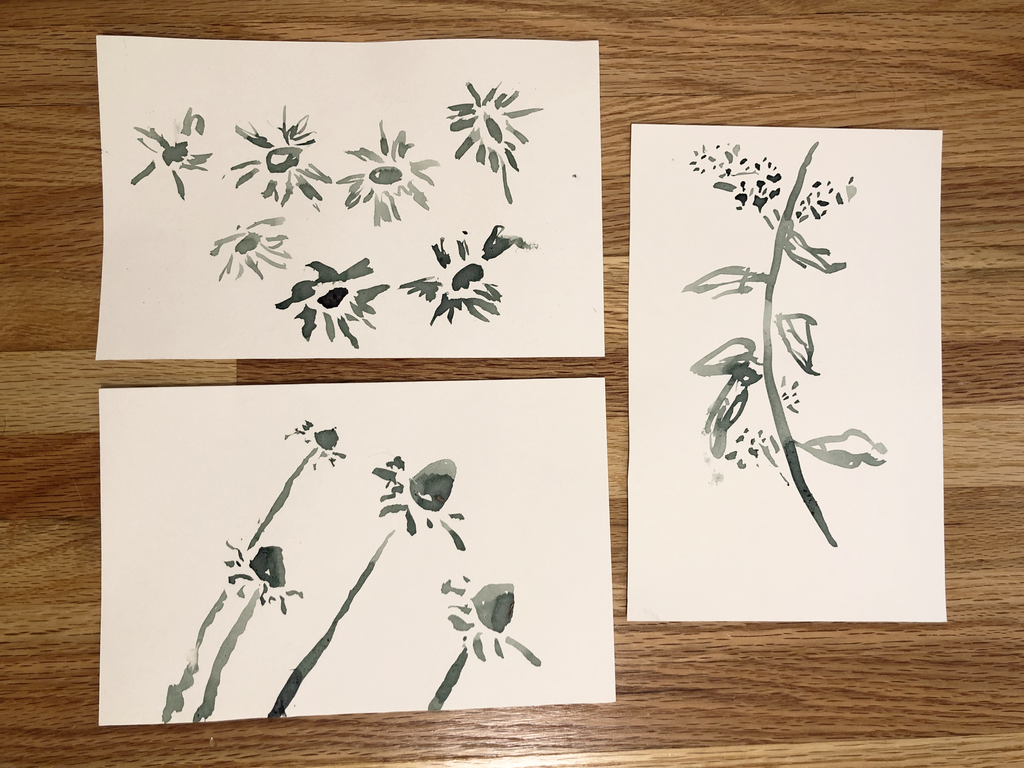 ink drawings of asters, black eyed susans, and goldenrod